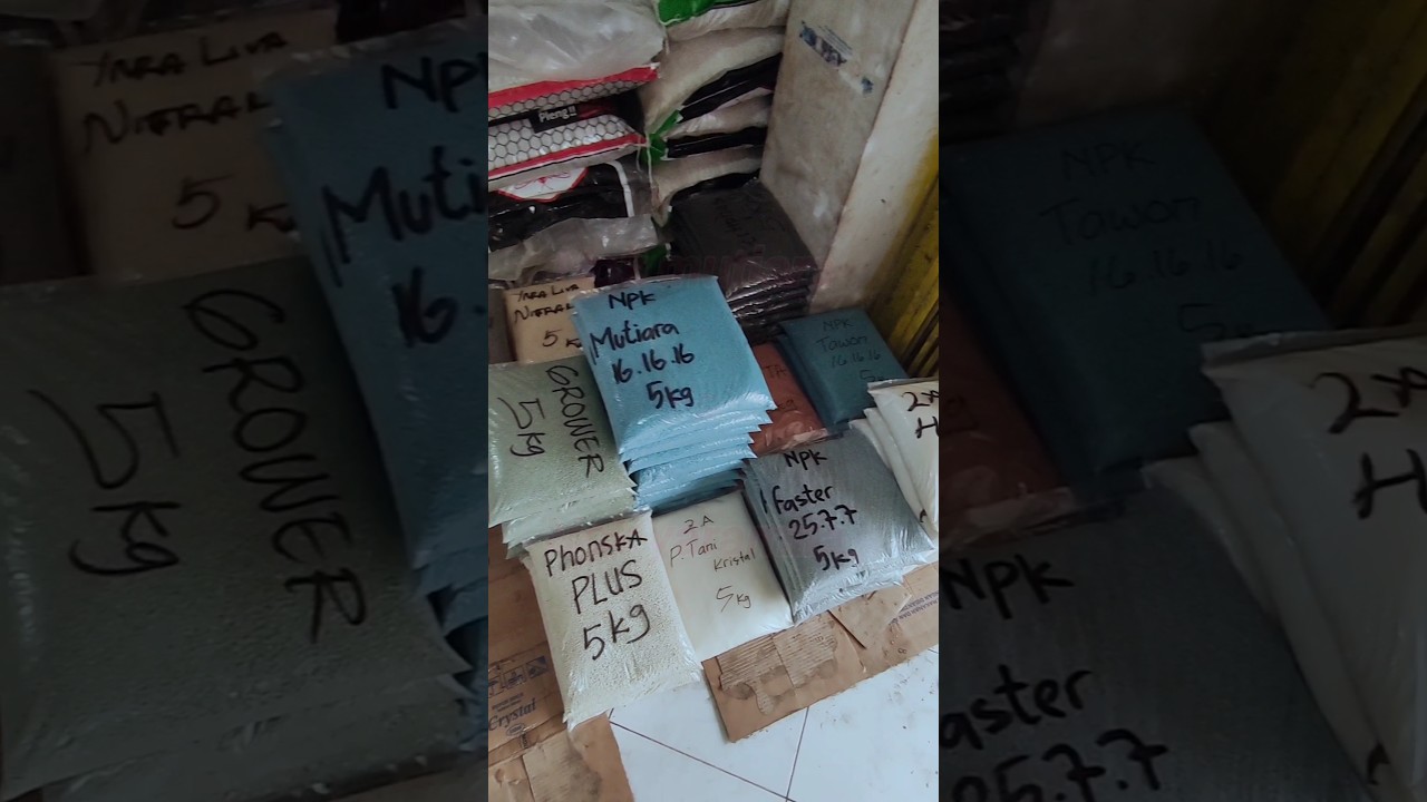 Npk mutiara vs npk yaramila