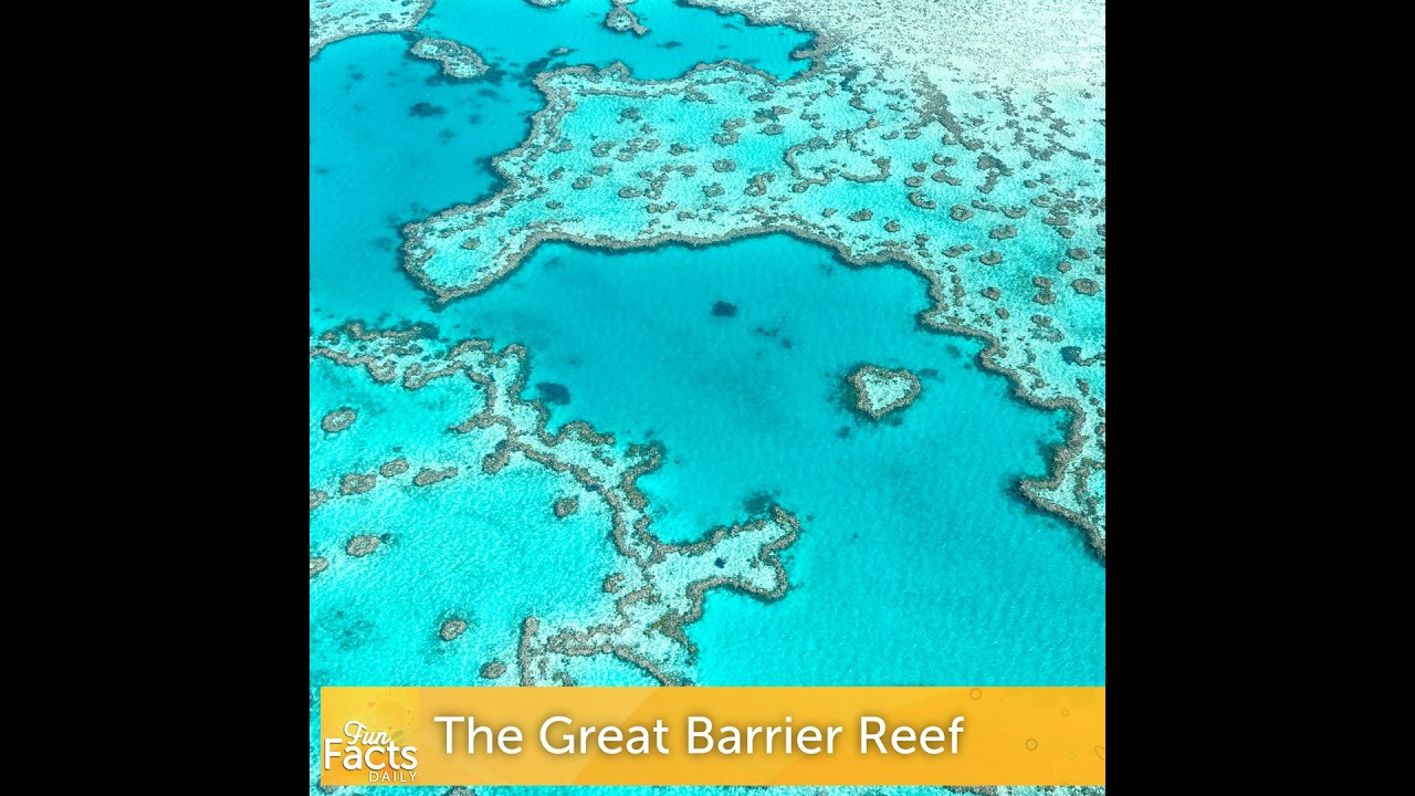 Fun Facts About The Great Barrier Reef