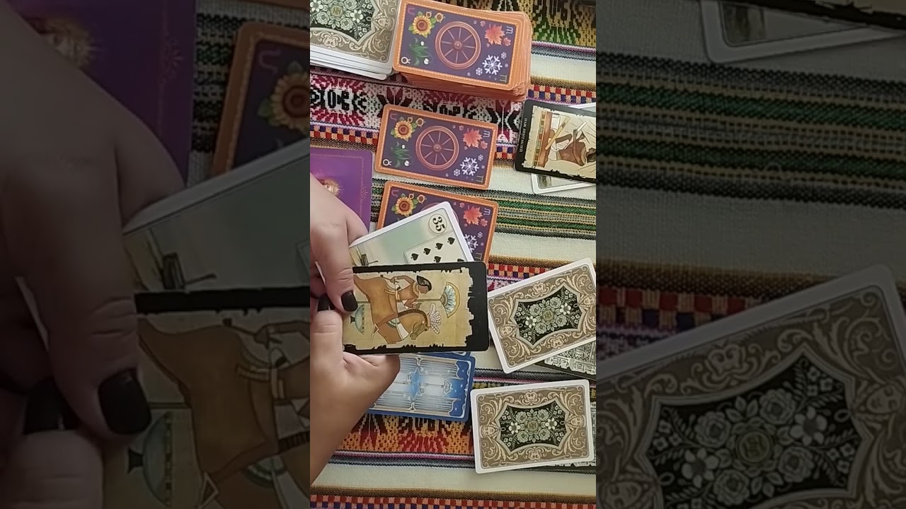 FECIOARA -TAROT AUGUST 2025