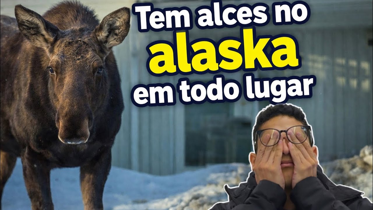 Como é a vida real no Alaska.