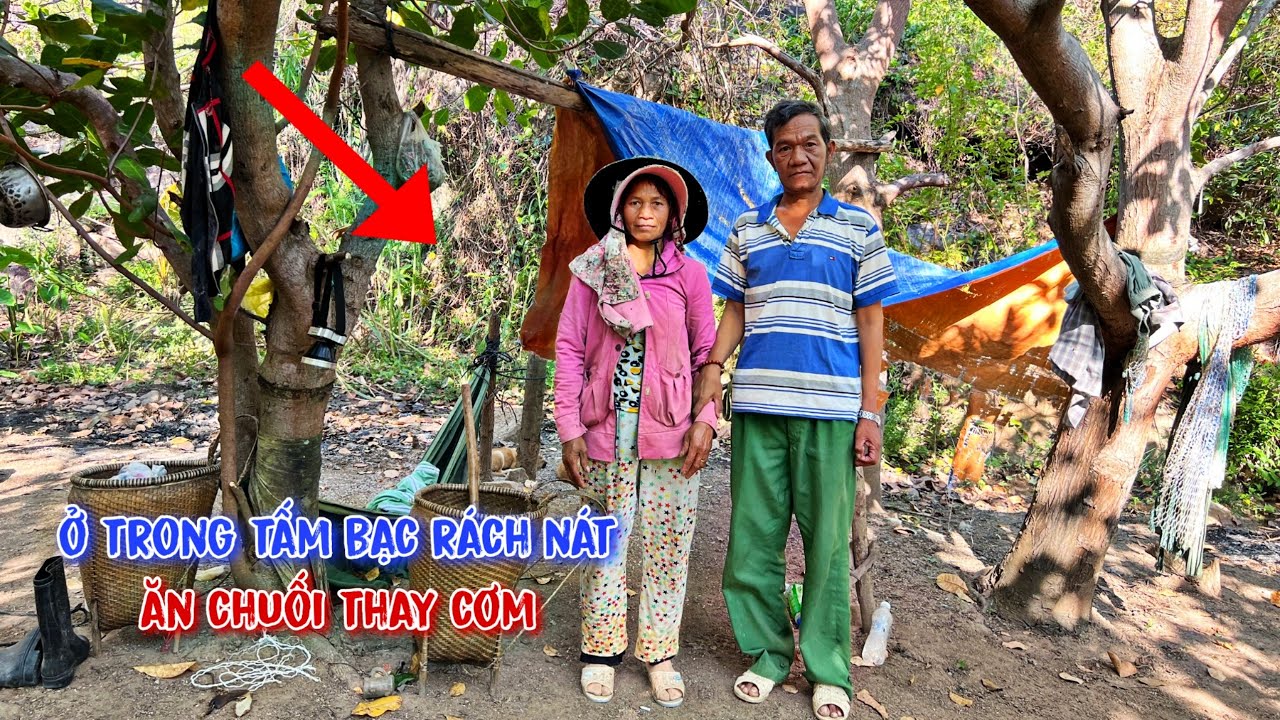 Hai vợ chồng già sống ẩn cư trong rừng, bật khóc vì bất ngờ được tặng số tiền lớn - tập 658