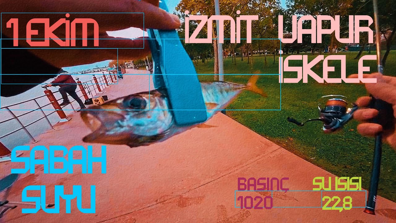 4K - Ne olursa İstavrit kıyıya yanaşıp avcılığı bereketli olur #lrf #istavrit #izmit #daiwafishing