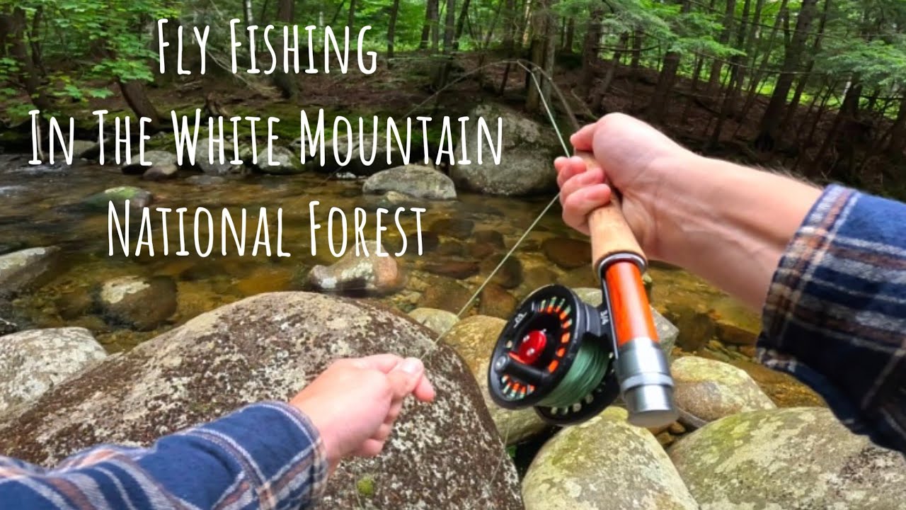 Fly Fishing//New Hampshire//White Mountain National Forest//Native Brook Trout