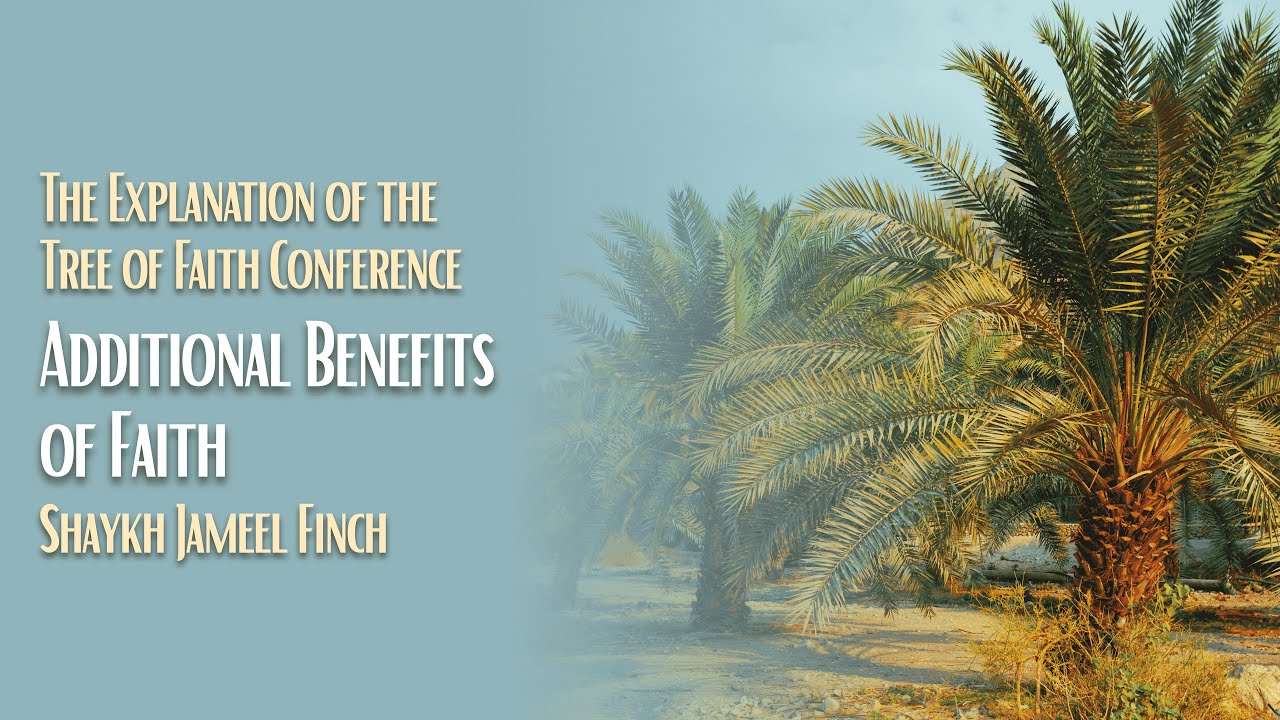 Additional Benefits of Faith - Shaykh Jameel Finch