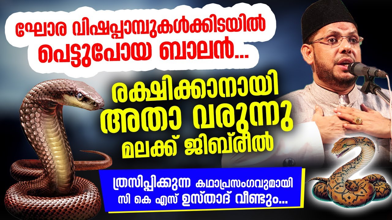 ഘോര വിഷപ്പാമ്പുകൾക്കിടയിൽ പെട്ടുപോയ ബാലൻ... രക്ഷിക്കാനായി അതാ വരുന്നു മലക്ക് ജിബിരീൽ CKS Moulavi New