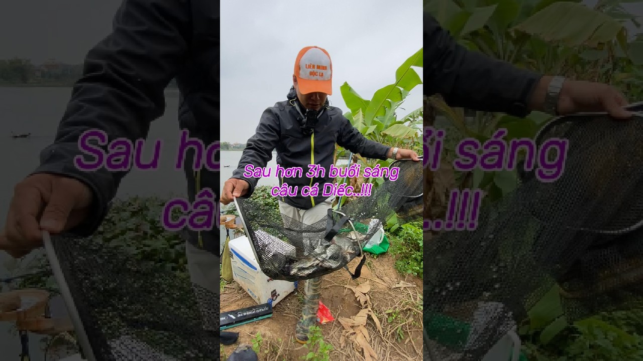 Sau hơn 3h buổi sáng câu Diếc..!!!