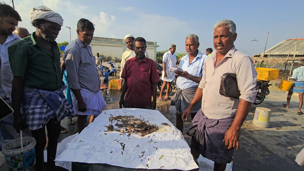 முத்துக்கூடா மீன்மார்க்கெட், வித்தியாசமான மீன்ஏலம்/MUTHUKUDA FISH MARKET/FISH AUCTION