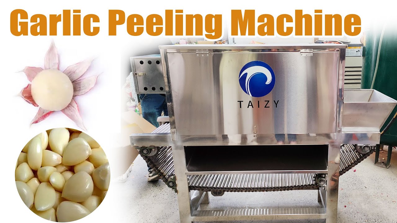 Automatic Garlic Peeling Machine | Fast, Clean & Efficient!#garlic #peeling #peeler