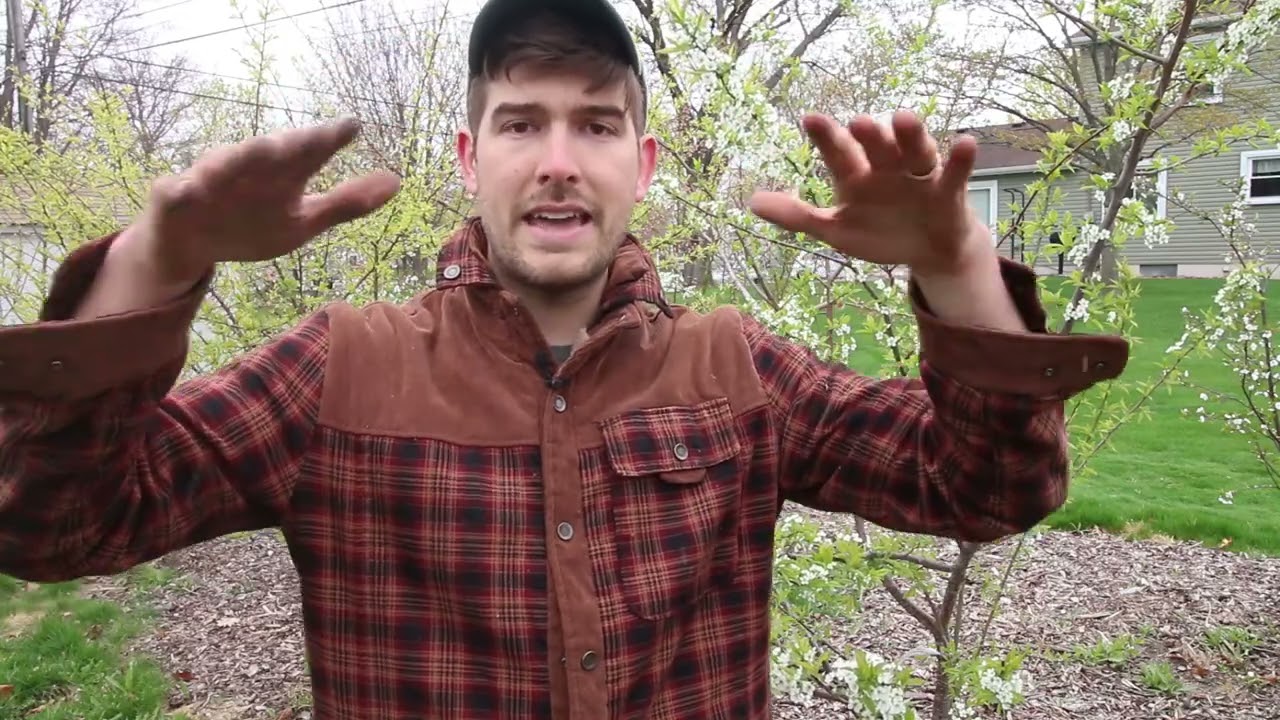 5 Ways to Protect Plants From Frost and Freezing Weather