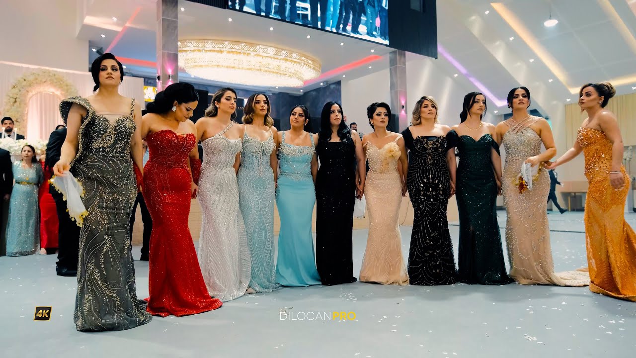 Imad Selim / Talal & Alaa / Part02 /25 Min Dilana Kurdi / #DilocanPro #Hochzeit #Wedding #Kurdish