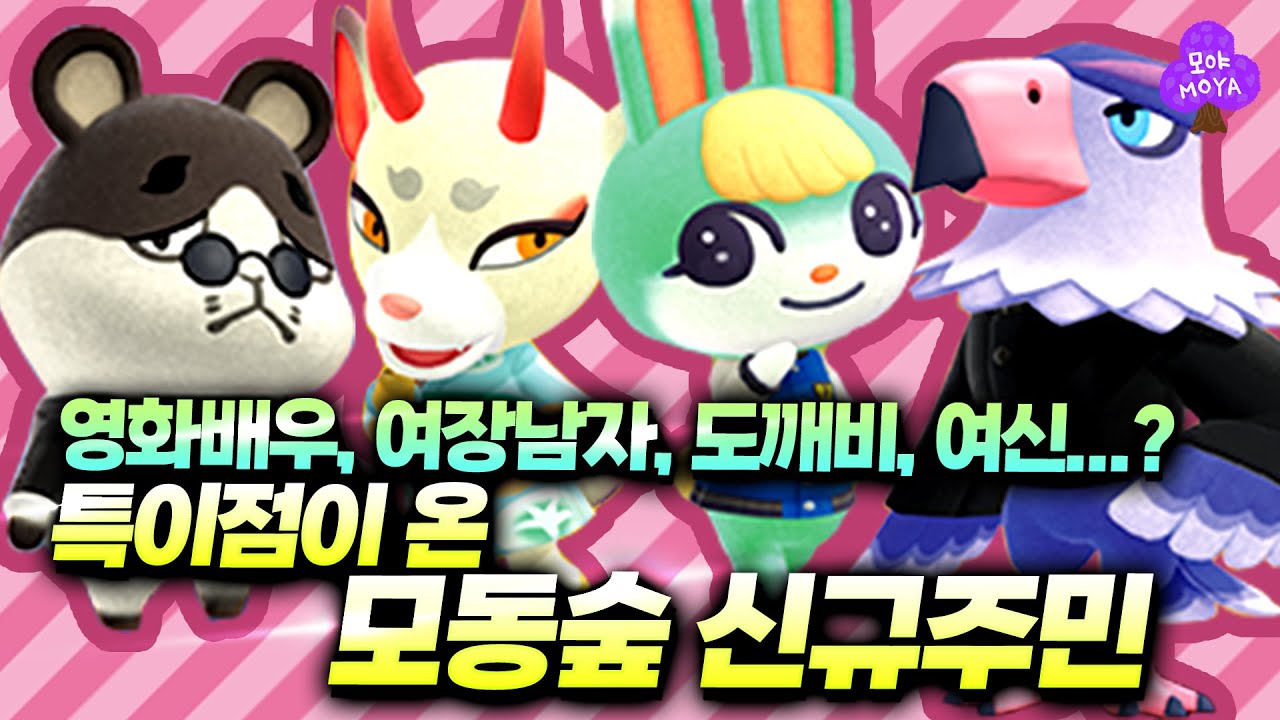 모동숲 신규 아미보 주민 집착 분석!!! 뭔가 특이하다..업데이트 주민들 파헤치기 스피드 버전