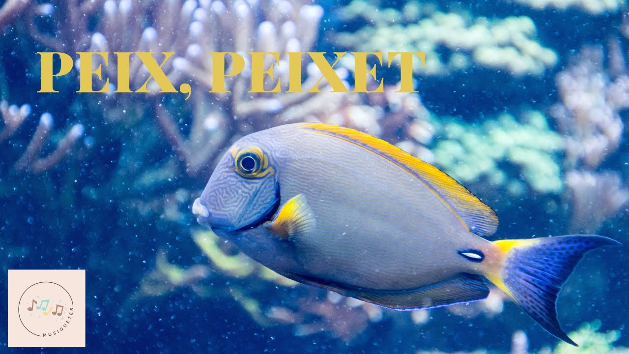 PEIX, PEIXET