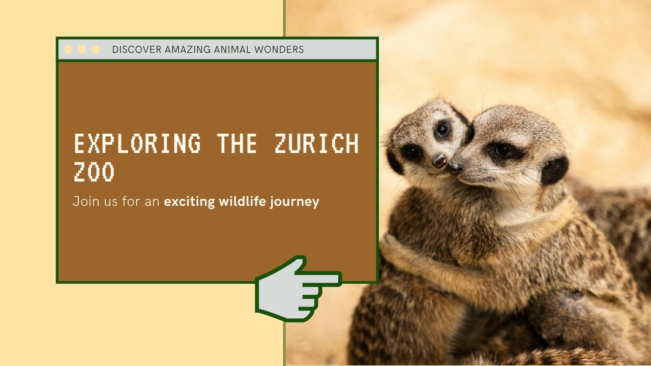 HIGHLIGHTS OF ZURICH ZOO: SWITZERLAND