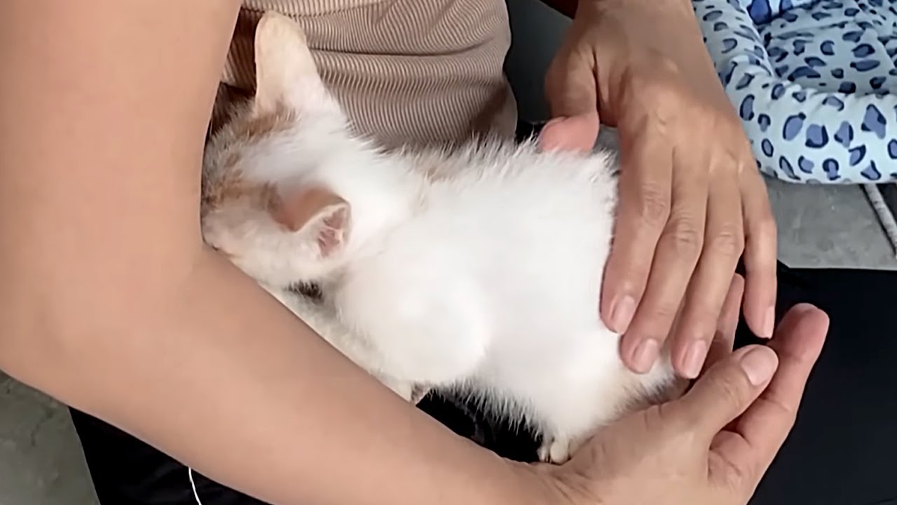 Никогда в жизни не получавшая любви, она плакала, когда женщина кормила ее!