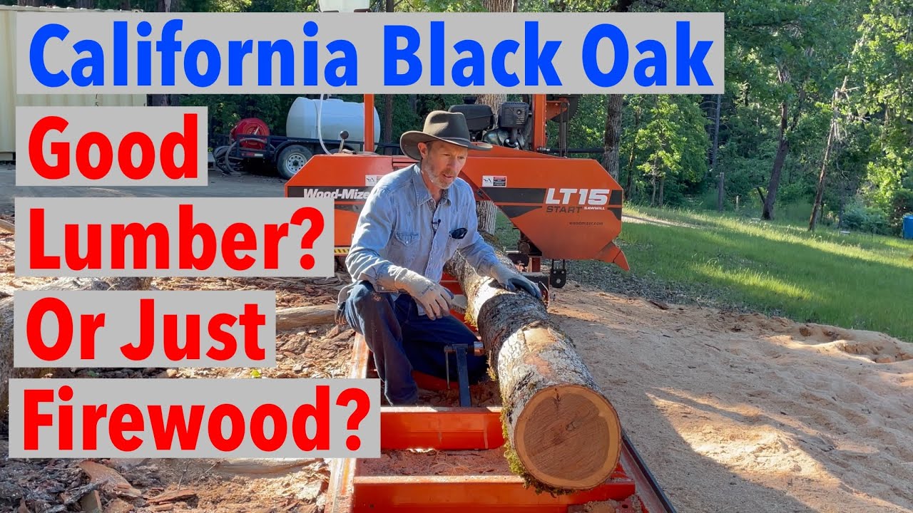 First Time Milling Black Oak on Woodmizer LT15