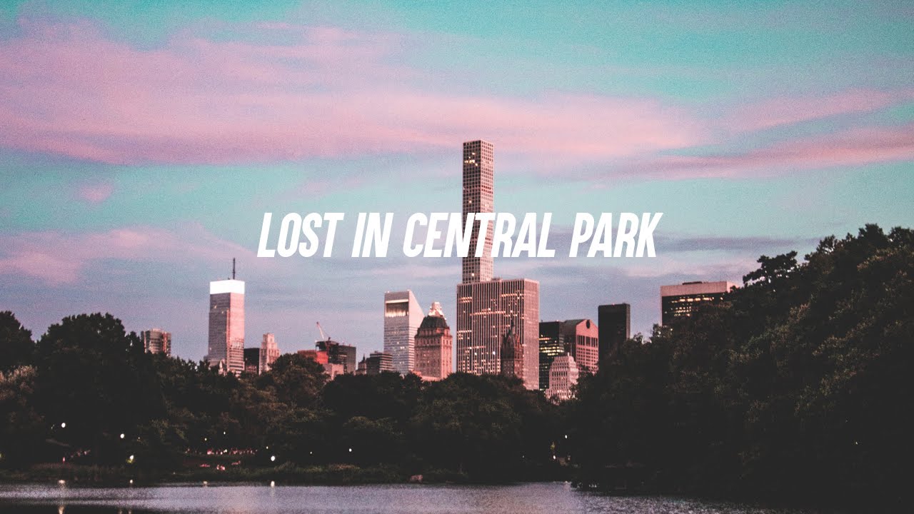 Lost In Central Park | The Digitals