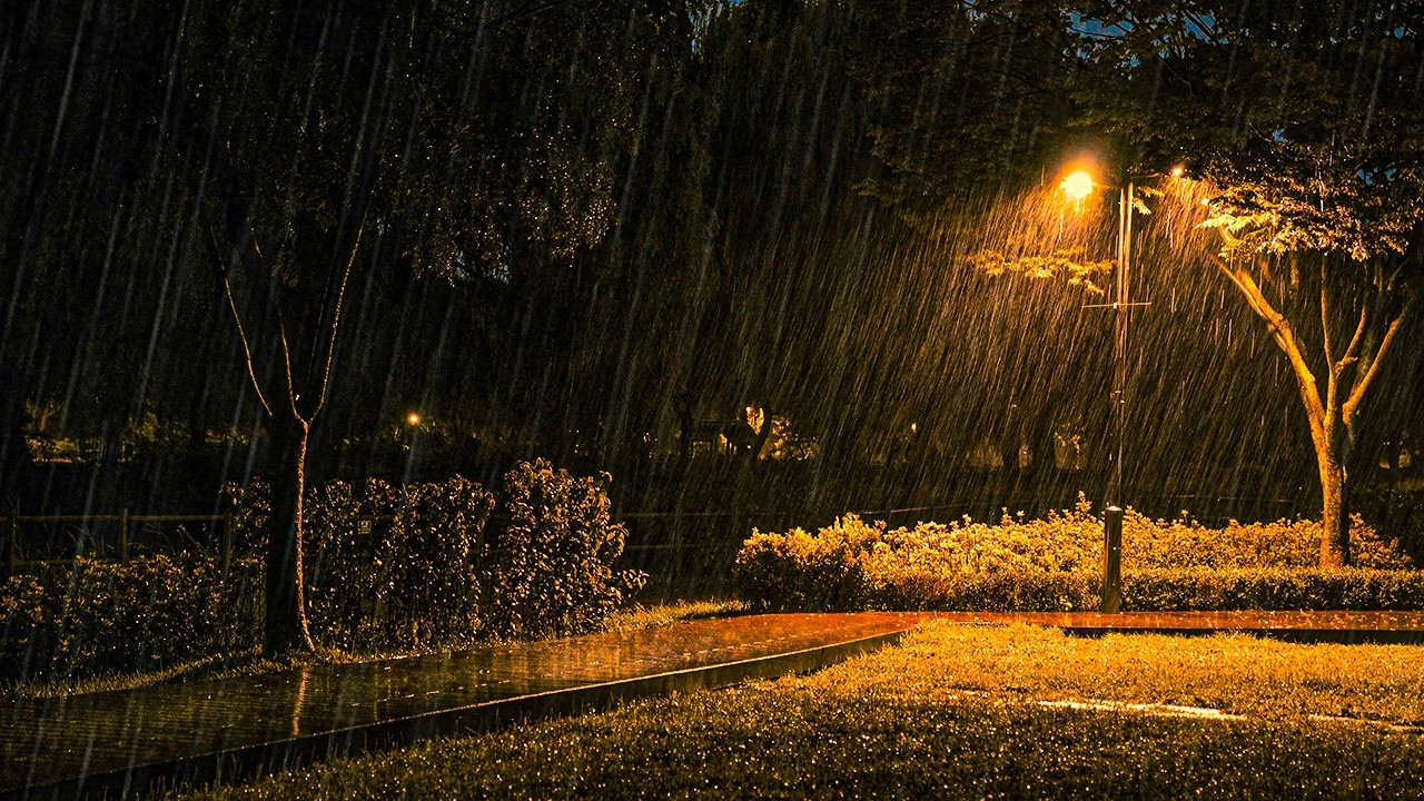 Tinnitus Masking & Calm Heart Rate | Warm Comfort Rain for Deep Sleep