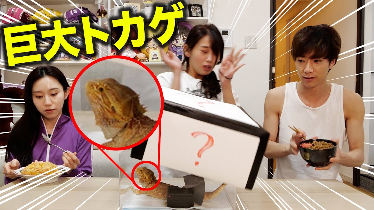 【恐怖】寝起き5秒で早食い対決かと思ったら巨大トカゲ出てきて大パニックwwwwww