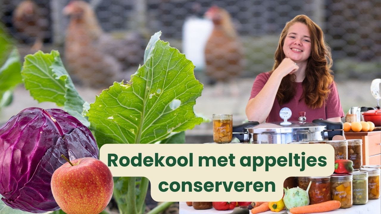 Rodekool met appeltjes conserveren! | Kweek en conserveer je eigen eten. | Pressure cannen & wecken
