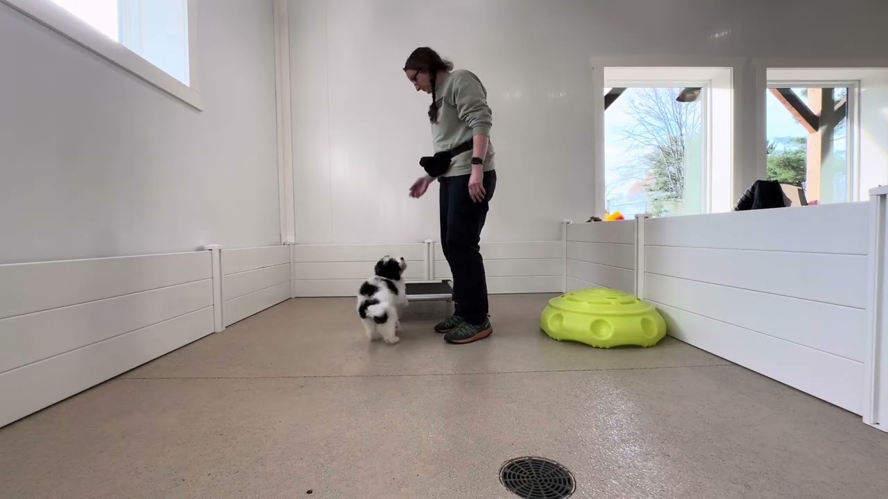 Riley Training Session 11/19