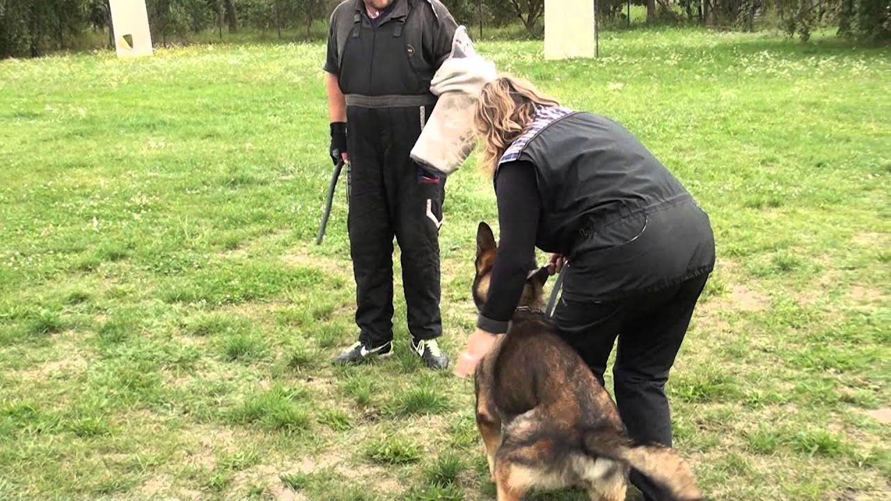 Caro z Jirkova dvora