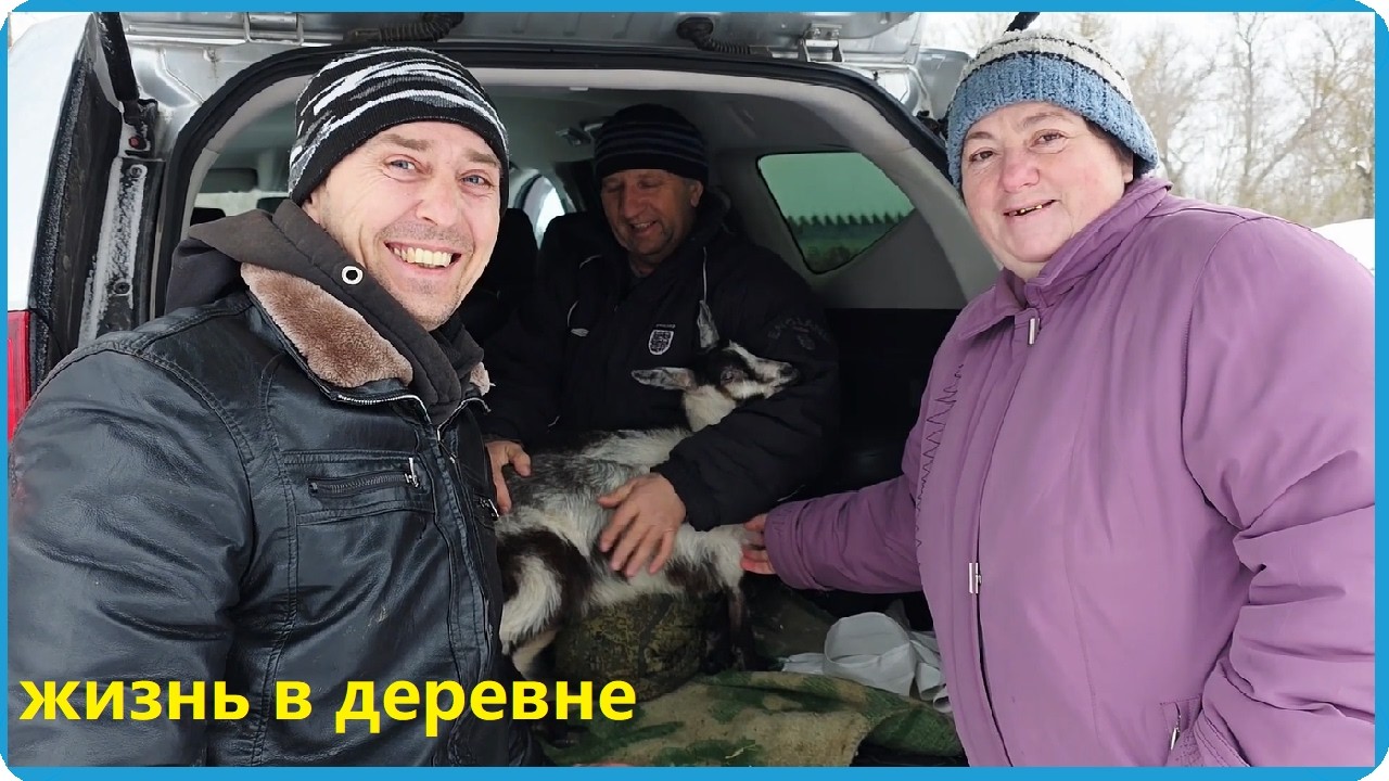 КУПИЛИ ДВЕ КОЗЫ И ОТХОДИЛИ ТЕЛЁНКА, ЖИЗНЬ В ДЕРЕВНЕ