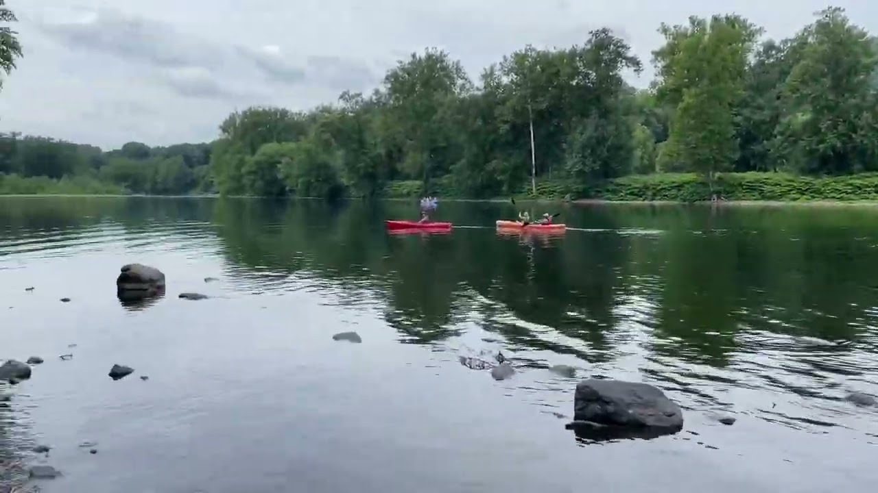 Camping with Bear in Worthington State Forest in New Jersey