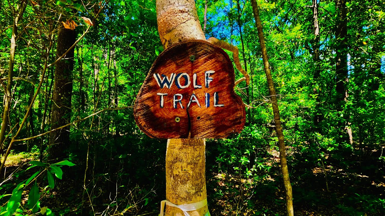 Exploring Abbey Nature Preserve's Wolf Trail - Scotts Hill, North Carolina - POV