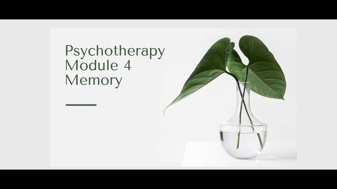 Psychotherapy Module 4 Memory