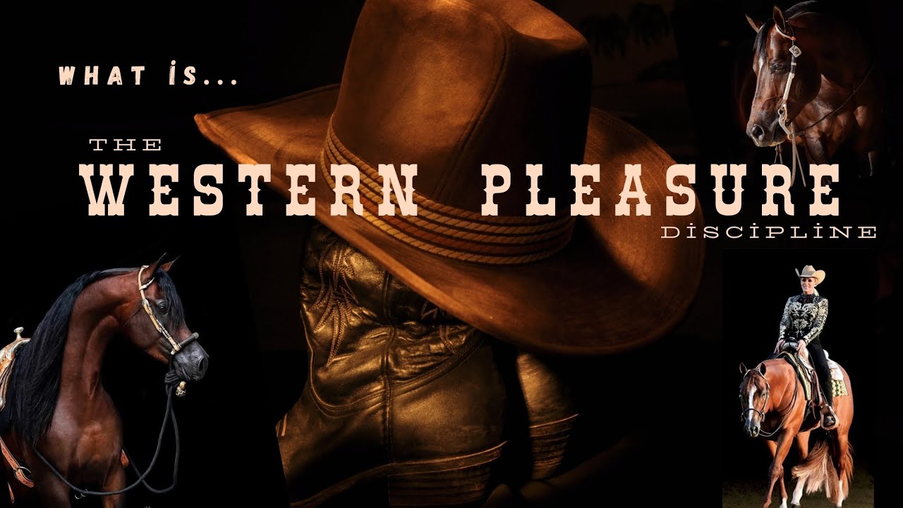 What is Western Pleasure?