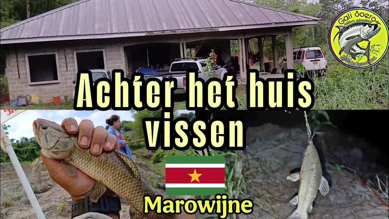 Achter een vakantie woning hengelen op zwampvissen#fishing#suriname #frenchguiana  #guyana 