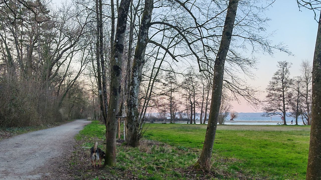 Spontanes kurzes Gassi am Bodensee mit Sonnenuntergang