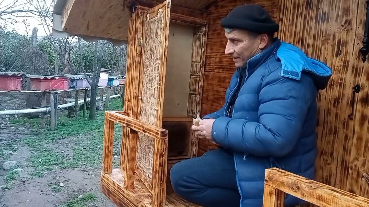 Arı salxımda olarkən necə götürmək olar?