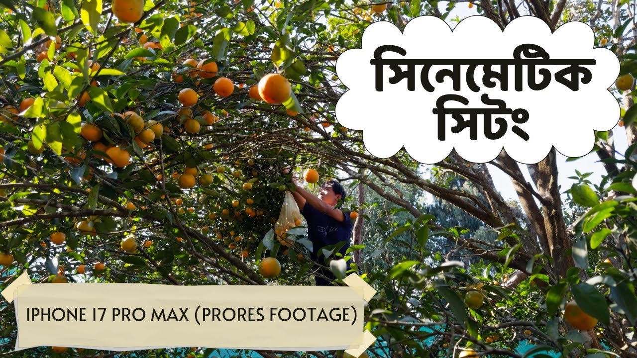 সিনেমাটিক সিটং || Cinematic Village of Sittong || iPhone-এ শট করা Apple ProRes ভিডিও