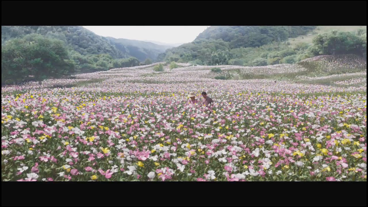 The White Storm 3: Heaven or Hell 掃毒3︰人在天涯 VFX Breakdown