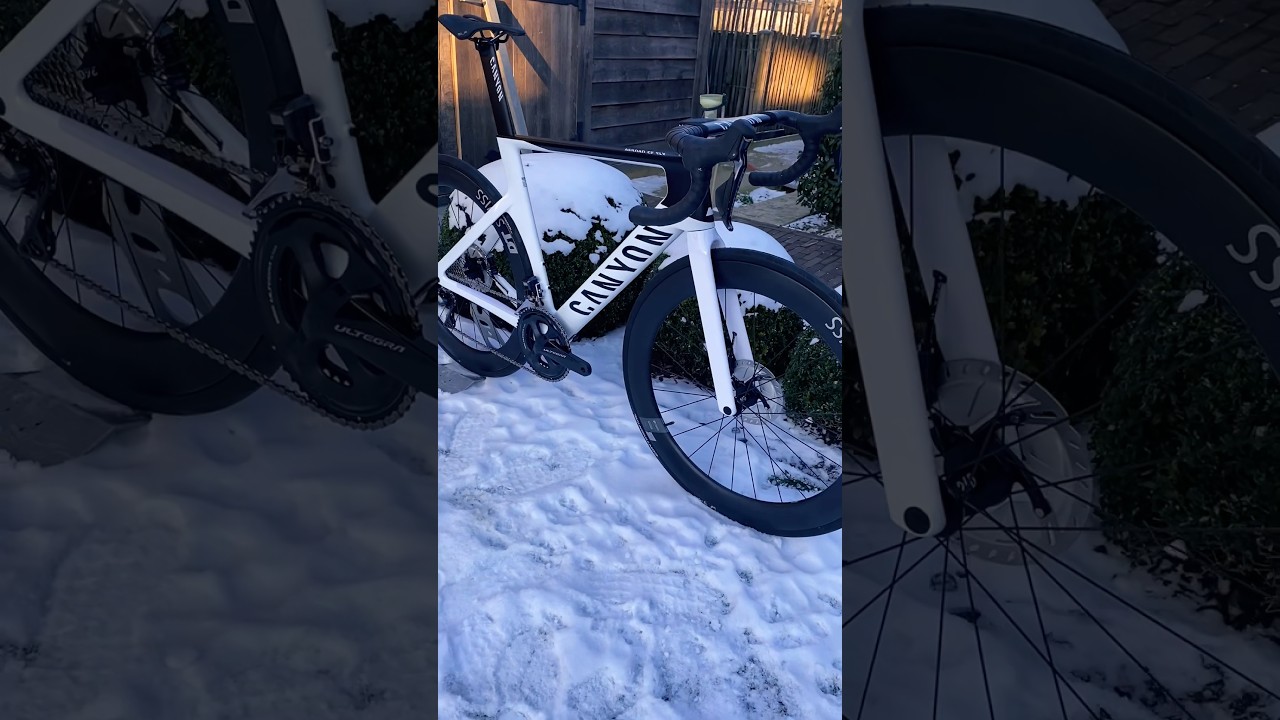 Protect your bike by Probikewash! 🛡️ #probikewash #bikedetailing #canyonbikes #racebike #shimano