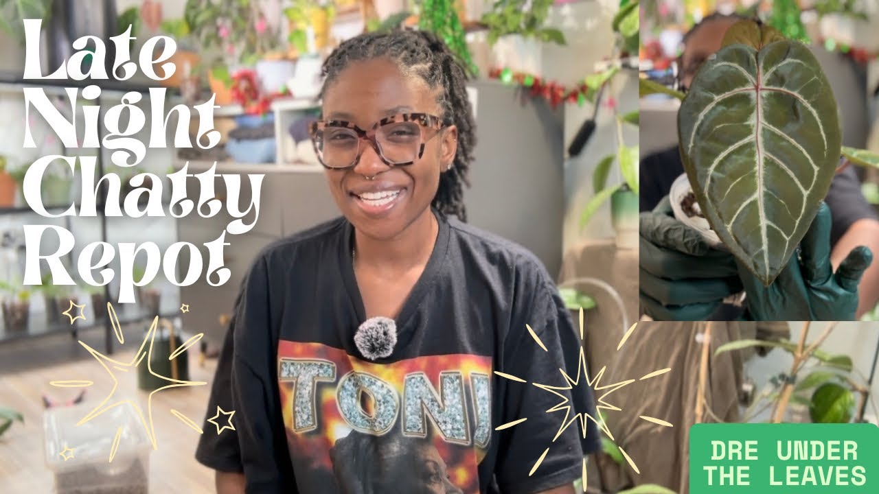 Late Night Repotting 🌙 | Chill Plant Chores & Cozy Vibes 🪴