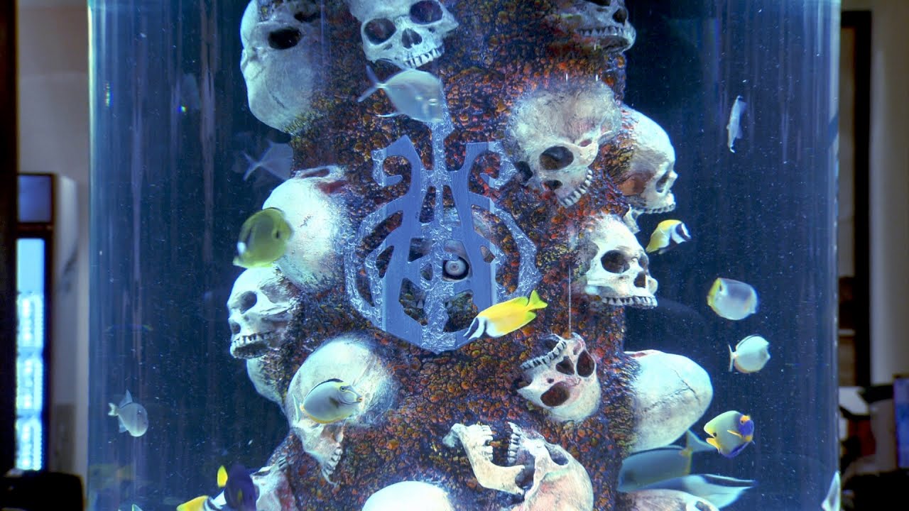 Check Out DJ Ashba's Badass Custom Aquarium | Tanked