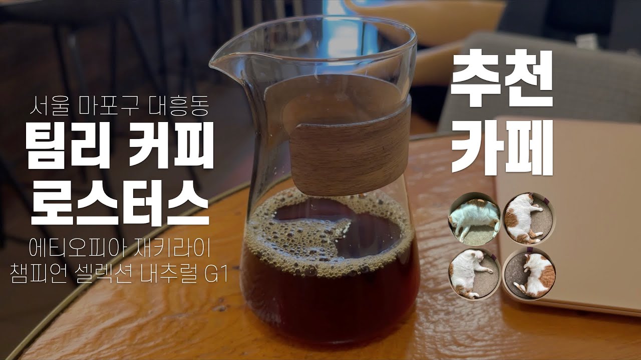 신식생활#441 대흥동 팀리 커피 로스터스 (250630)