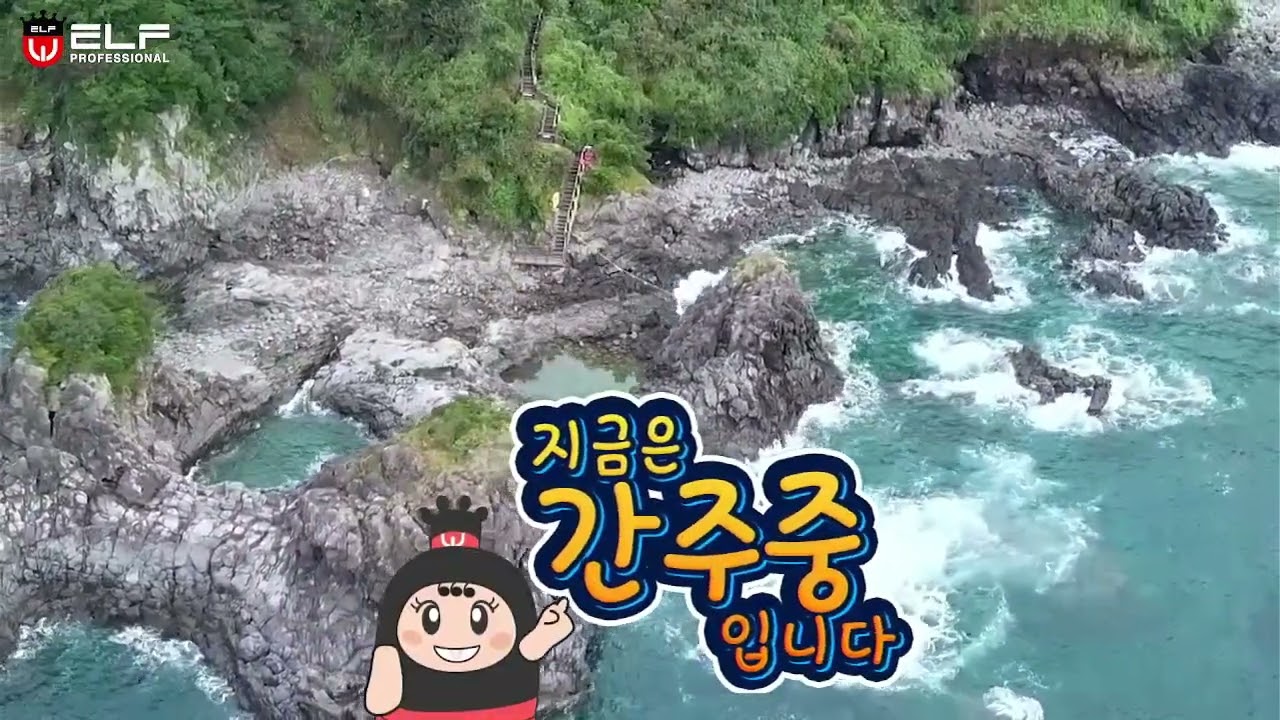 ELP E-919 N.유채영-Emotion