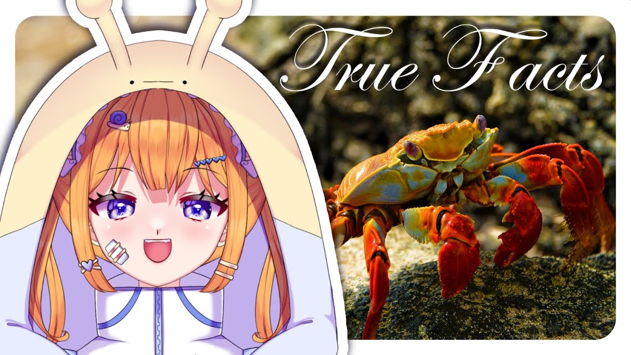 True Facts about CRABS! I can't believe Ze Frank speaks German... | Snail Vtuber reacts to Ze Frank
