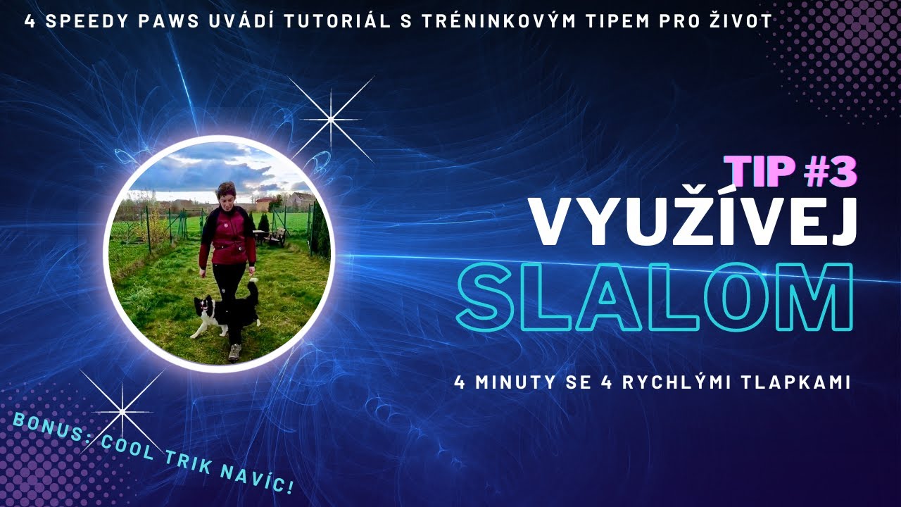 Jak využít psí trik SLALOM MEZI NOHAMA v životě se psem | 4 minuty se 4 rychlými tlapkami #3