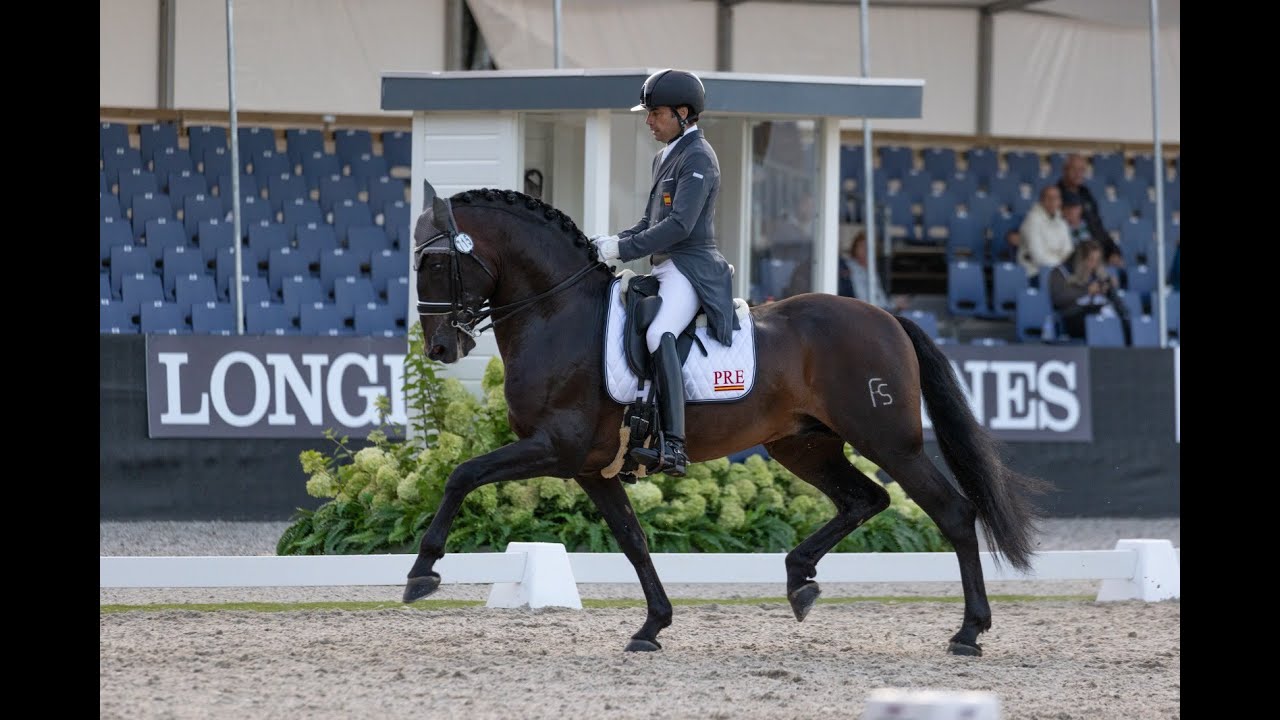 Alberto García-Briñón y Pampero FS en la Preliminar de 7 años (68.525%).