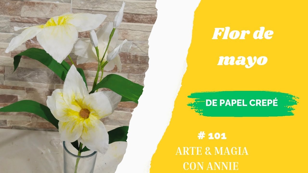 Flor de mayo de papel crepé 