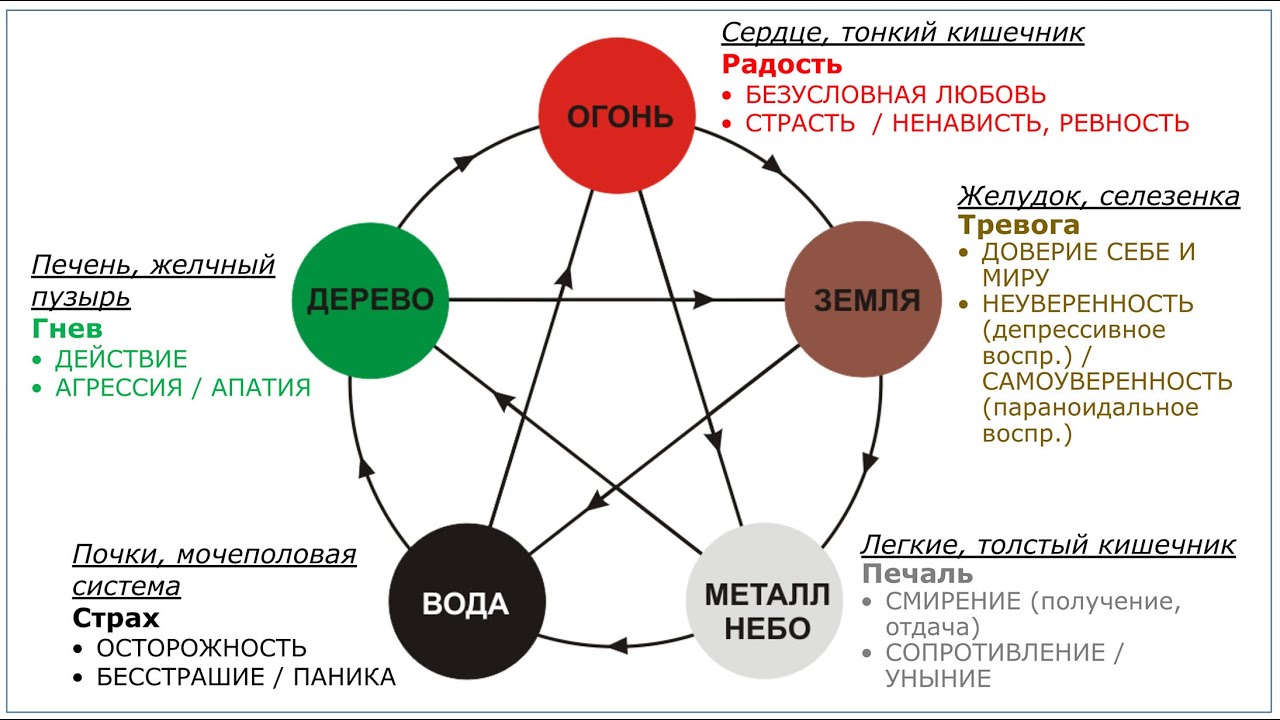 Биодинамика и Цигун. Круг У-Син. Принятие энергии света внутренними органами