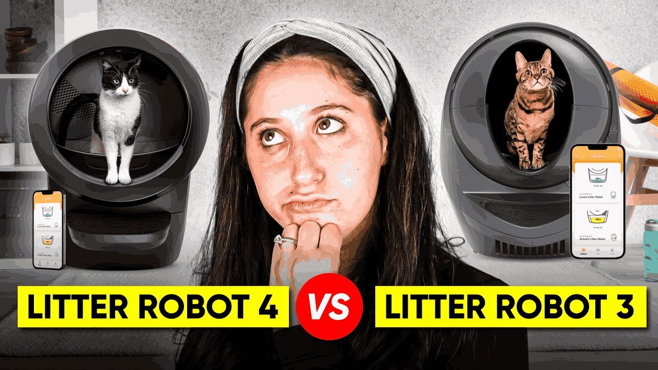 Litter Robot 4 vs Litter Robot 3 - Which is the best?