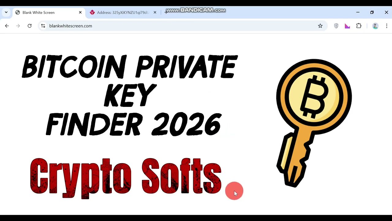 Bitcoin Private Key Finder 2026 | Crypto Softs |