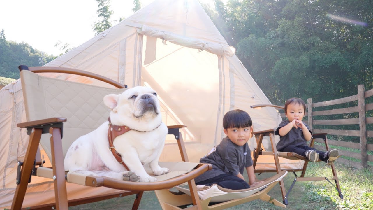 初めてのテントが完成した瞬間の愛犬と子供達の反応がかわいすぎた…