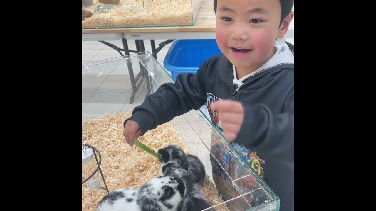 5歳の息子とアルパークにある『いきものふれあい学校』に行ってきた。2026.2.22