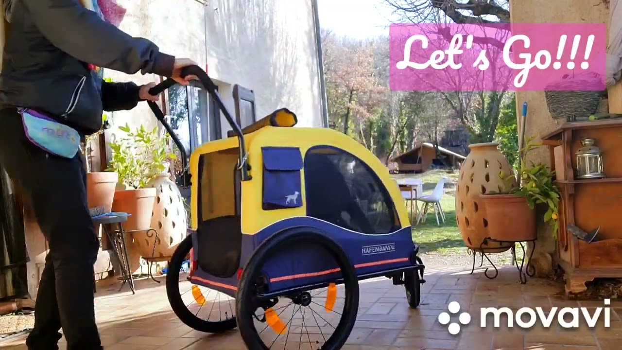Désensibilisation remorque à vélo pour chien, étape 3 : on roule !